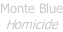 Monte Blue Homicide